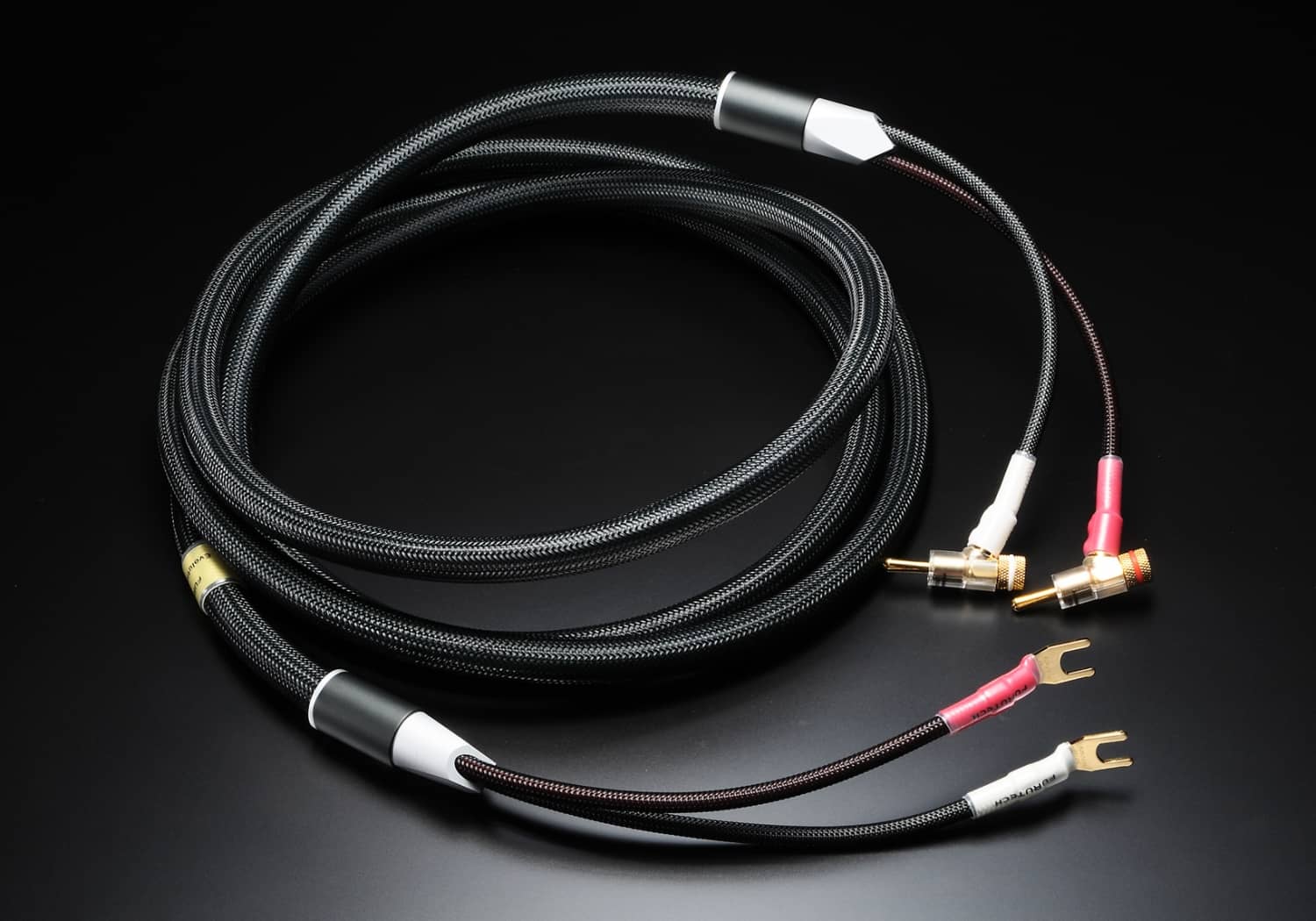 Evolution Speaker II