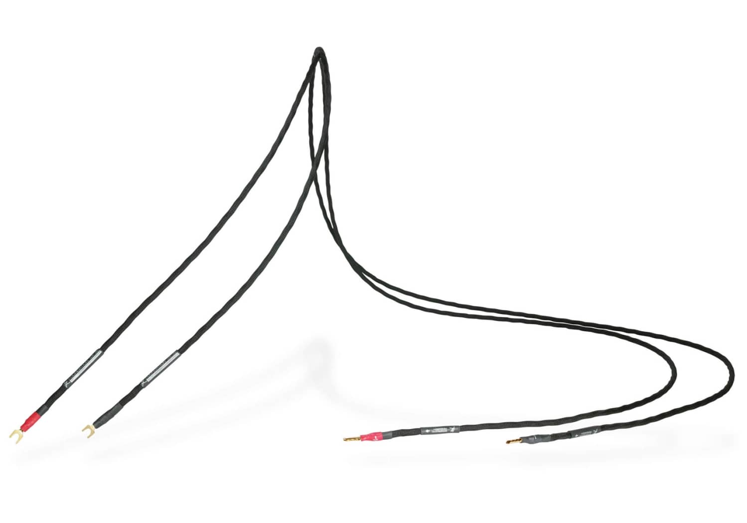 Foundation XL Speaker