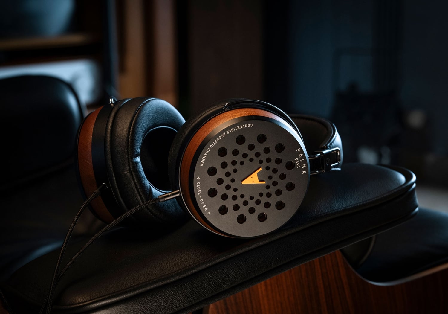 DHS-1 - Mobile view 2