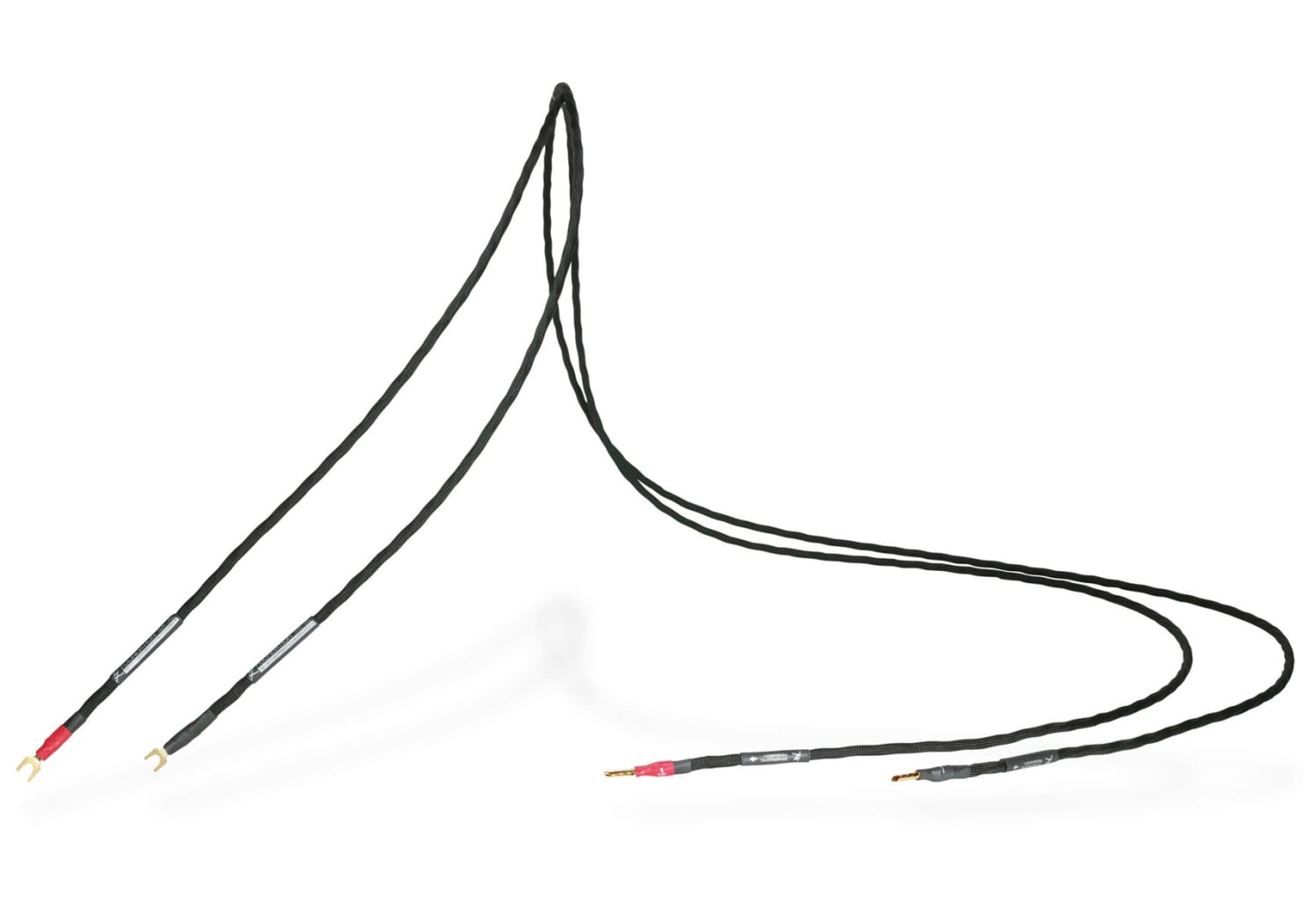 Foundation XL Speaker