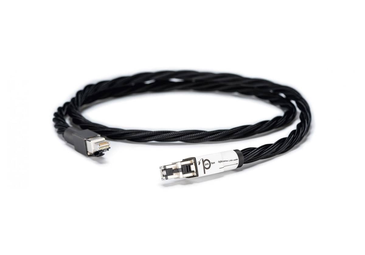 Digital Interlink LAN